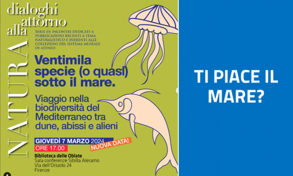 Siete affascinati dal mare?