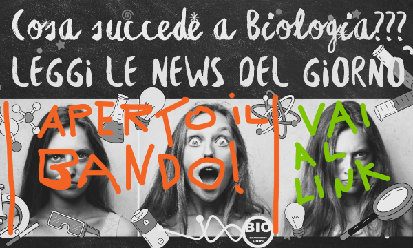 aperto il bando per il dottorato!