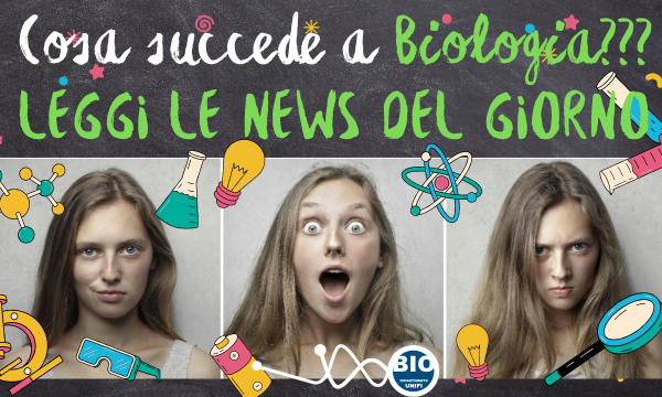 PORTALE NEWS.