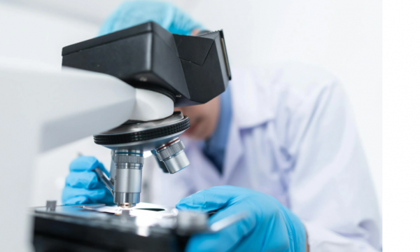 SEMINARIO: THE HIDDEN AND THE VISIBLE